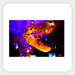 the mighty t rex dinosaur photograph Sticker